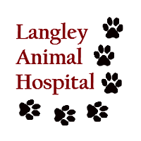 Home | Veterinarian in Papillion, NE | Langley Animal Hospital